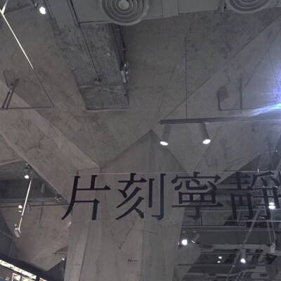 “双城论坛”再结硕果 上海动物园小熊猫顺利抵台